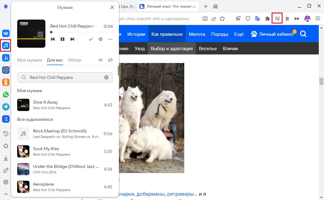 Музыкальный плеер ВКонтакте — Справочные материалы по браузеру Atom